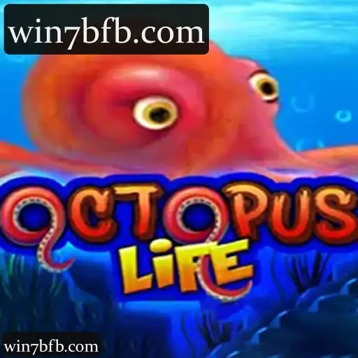 win7b: Experiência OctopusLife com Cassino, Slots e Apostas Esportivas